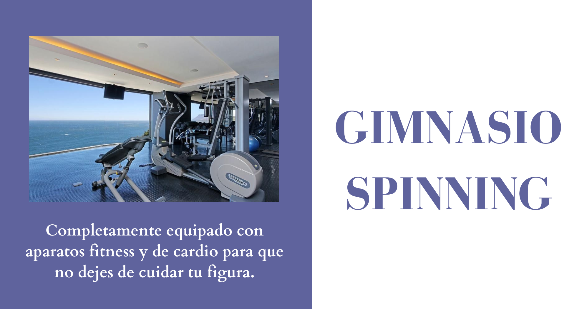 Gimnasio